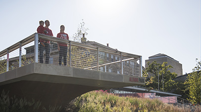 Visitor overlook Alumni Park