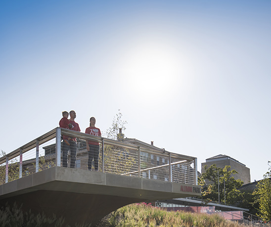 Visitor overlook Alumni Park