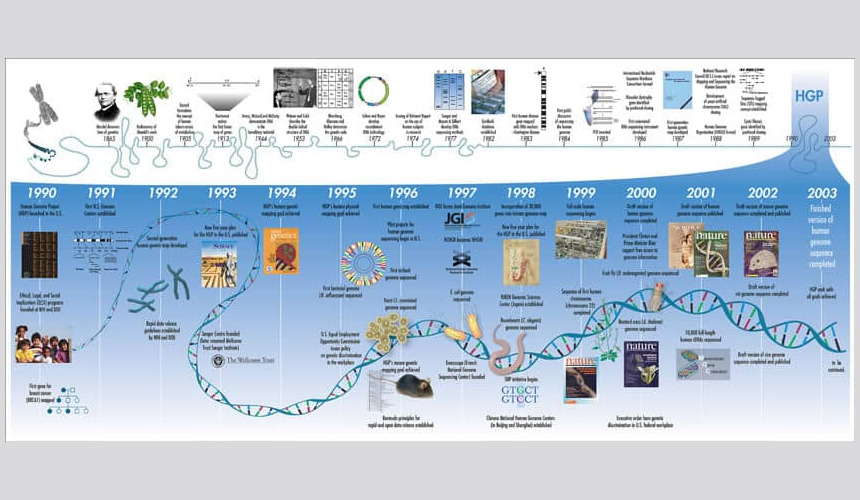 The Human Genome Project timeline. (Image is public domain, photo by Darryl Leja, NHGRI.) The Human Genome Project timeline.