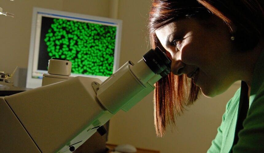 Cezar looking at samples of stem cells through a microscope.