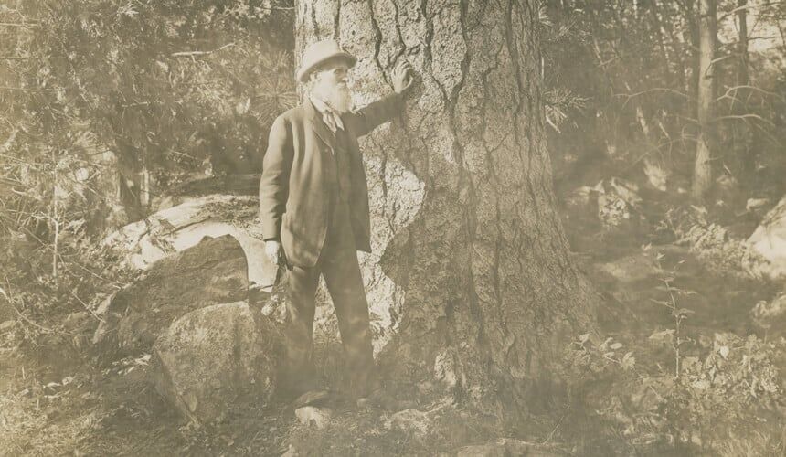 Muir in the woods of California.
