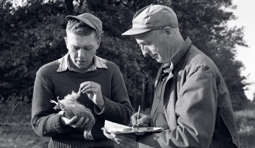 Hicky conducting a grouse survey