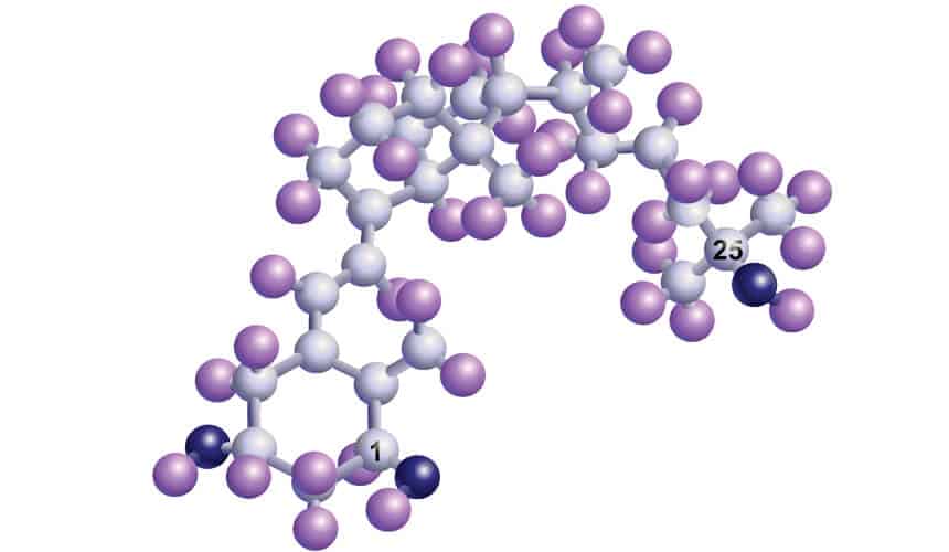 Model of Vitamin D.